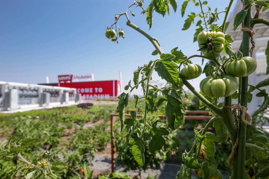 Levi's Stadium Farm